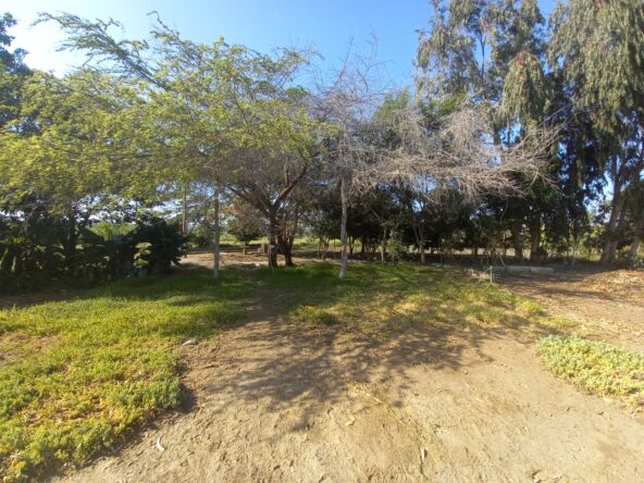 terrenos casas nuevo chimbote venta de inmuebles ista de propiedades en venta encuentra tu inmueble al mejor precio comprar terreno chimbote agencia inmobiliaria corredores inmobiliarios casas en nuevo chimbote terrenos en venta en chimbote inmobiliaria industrial