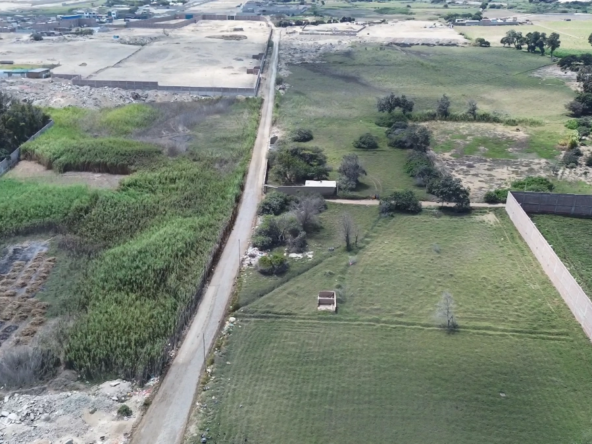 sectorlaperla