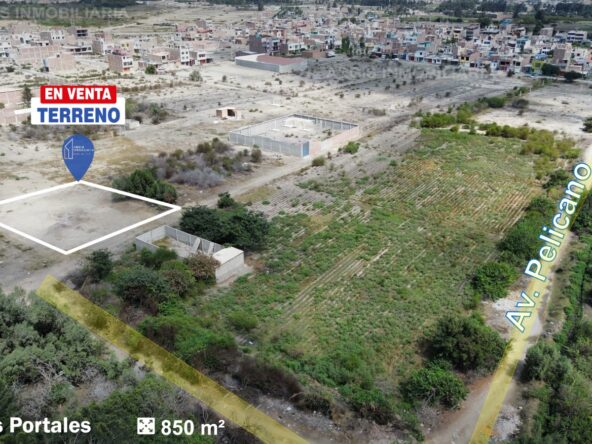 portales nuevo chimbote