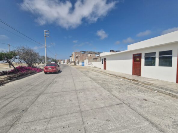 domus avenida