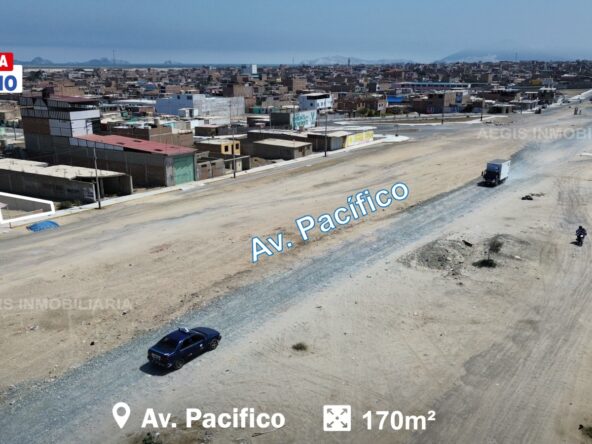 pacifiico