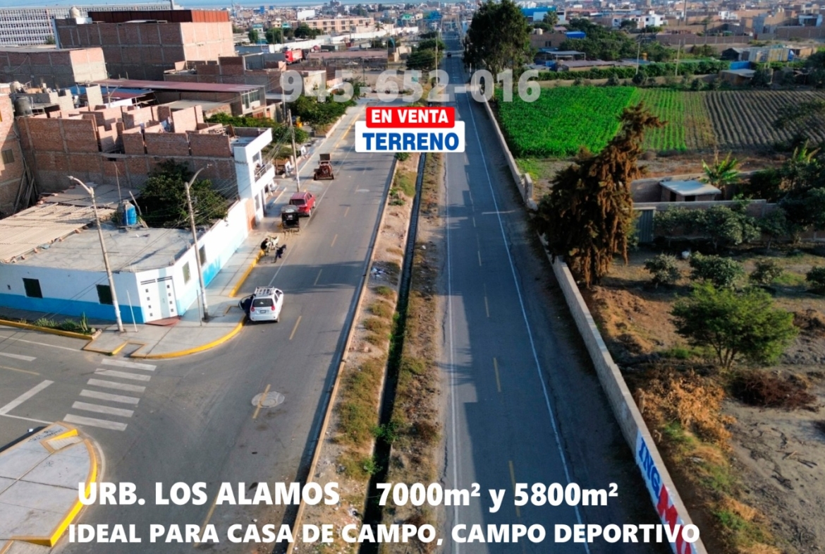 alamos nuevo chimbote