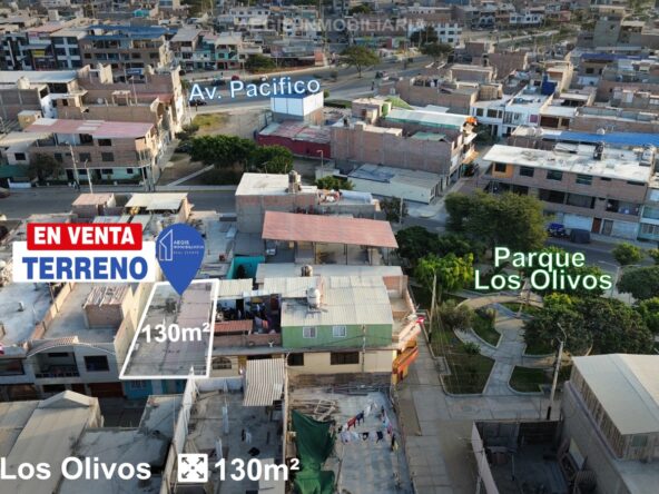 olivos