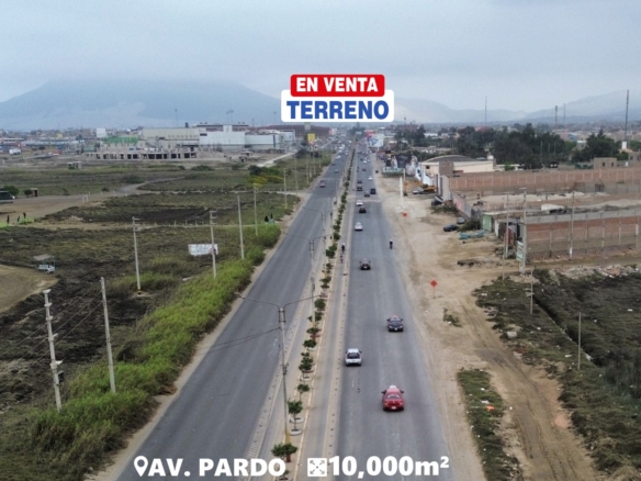 PARDO