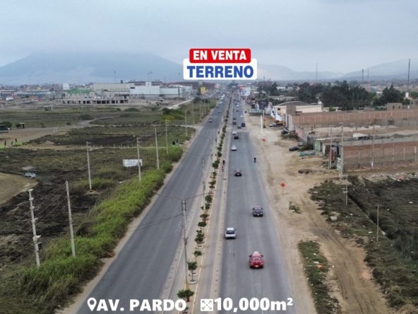 PARDO