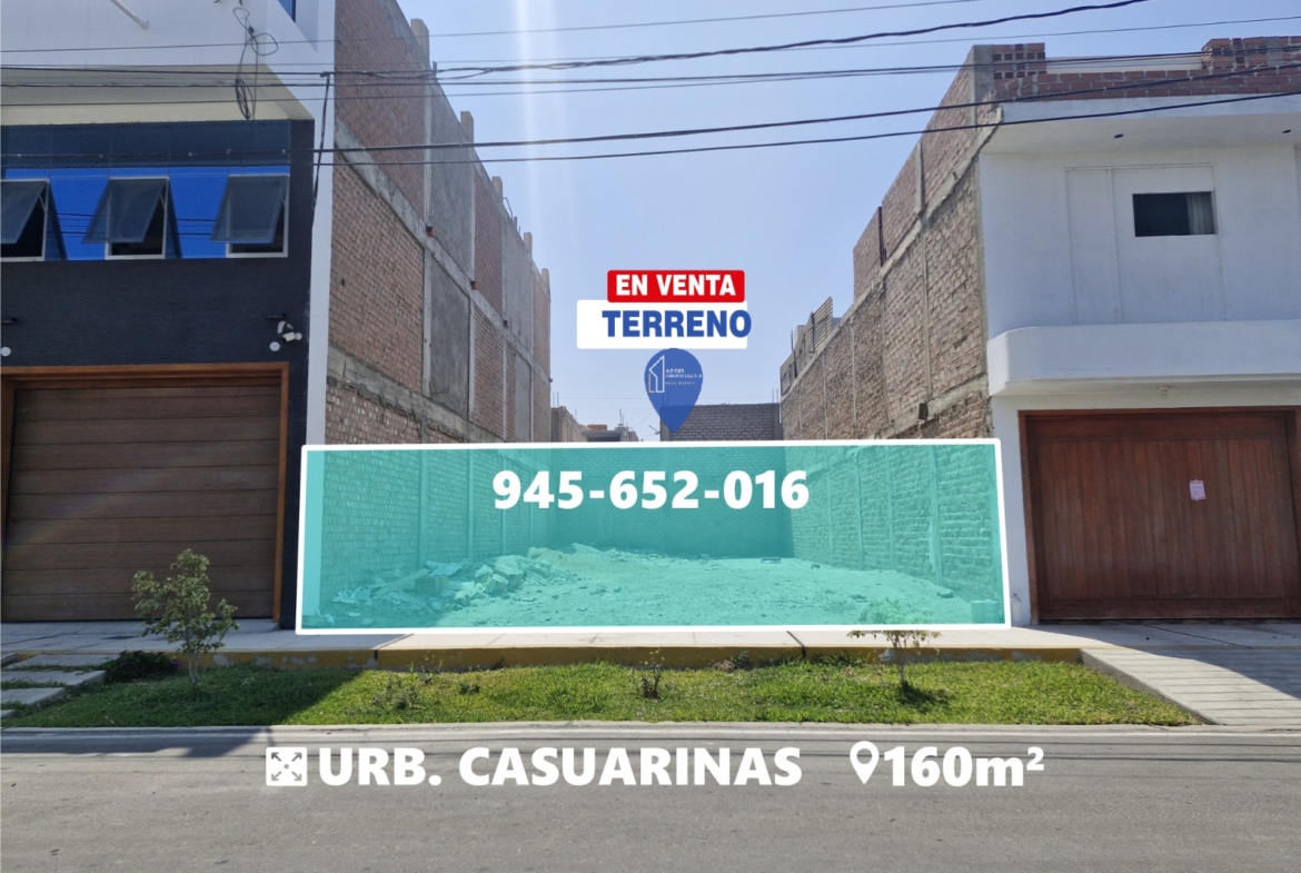 Casuarinas Nuevo Chimbote