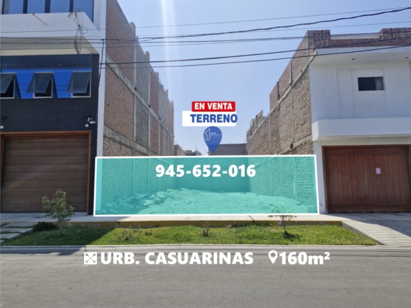 Casuarinas Nuevo Chimbote