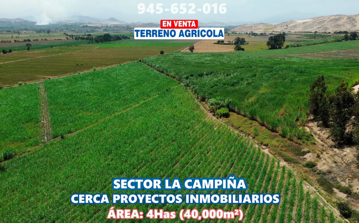 Terrenoagricolachimbote