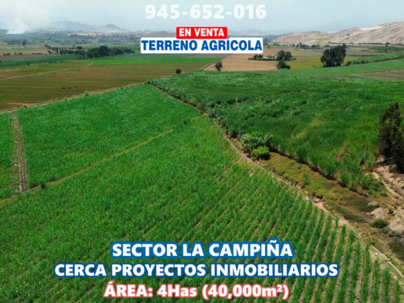 Terrenoagricolachimbote