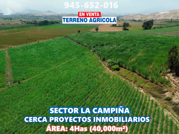 Terrenoagricolachimbote