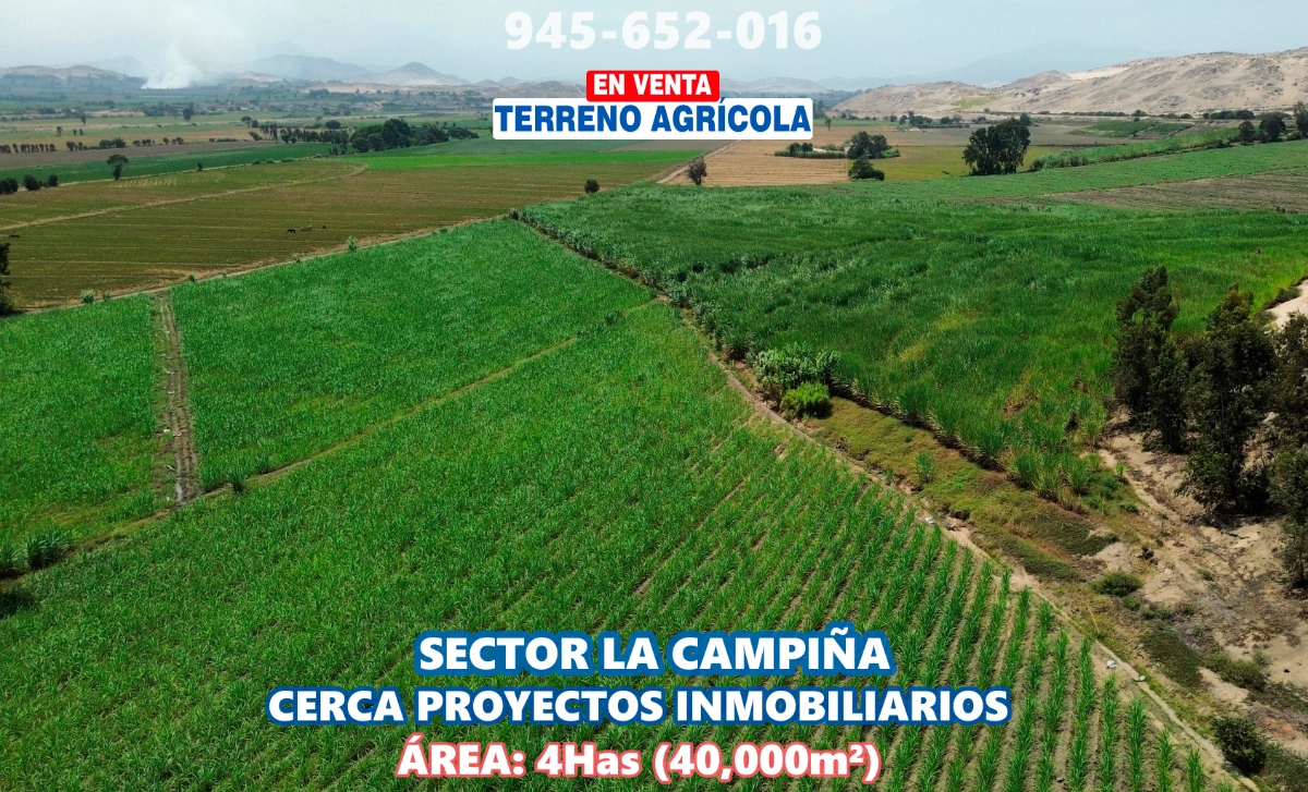 Terrenoagricolachimbote